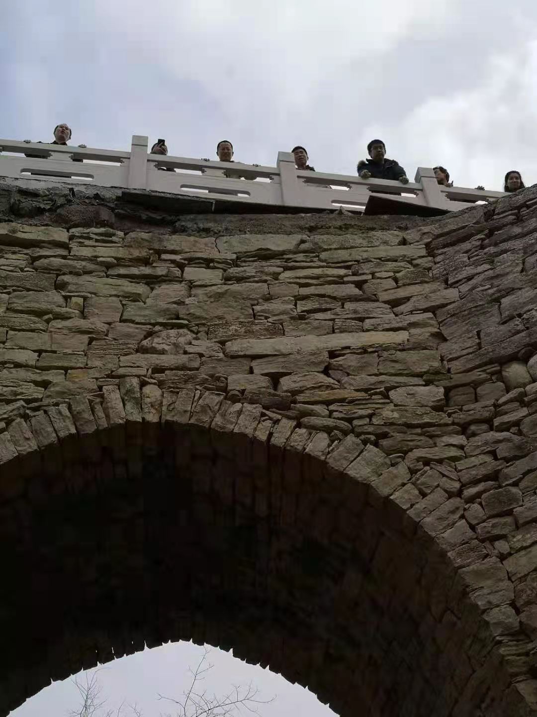 蟠龙山森林公园  团建活动圆满结束